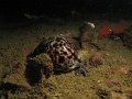 IMG_2220
