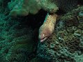 IMG_2242