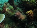 IMG_2393