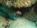 IMG_2427