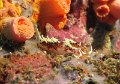 IMG_2550