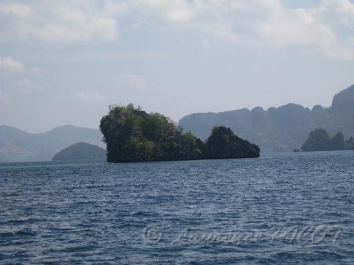 IMG_2072.JPG