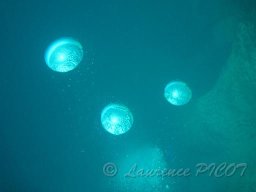 IMG_2108.JPG - les bulles de mes camarades en dessous, moi j'ai trop chaud, je regagne la zone fraîche!