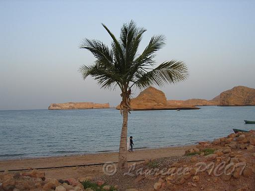 IMG_5285.JPG