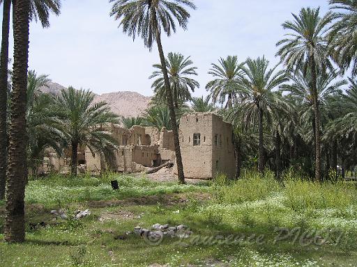 ruines.JPG