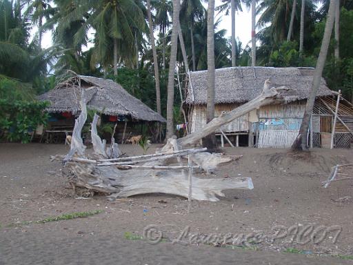 DSC03294.JPG - de part et d'autre de l'hotel les maisons des pêcheurs bordent la plage