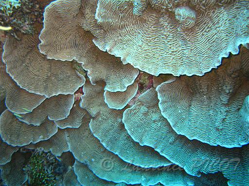 IMG_6306.JPG