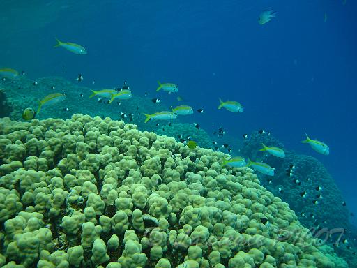 IMG_6482.JPG