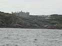 DSC02470_tn