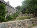 DSC02504_tn