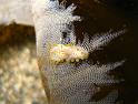 IMG_5538_tn
