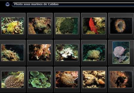 Cabilao  ct mer 