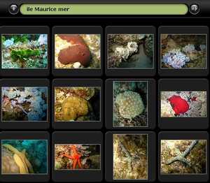 Album photos sous-marines 
