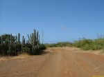 bonaire chemin