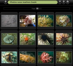 Album photos sous-marines de Dauin 