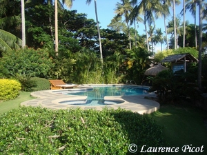 piscine du Pura vida